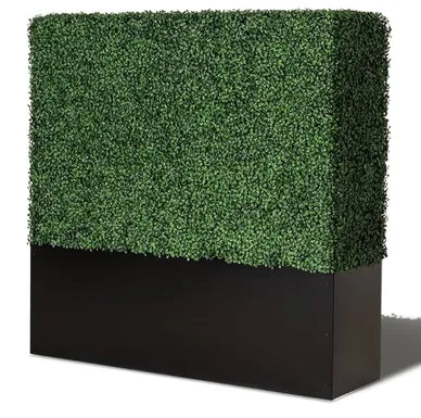 Boxwood Hedge Wall / Double Side  4'x4'