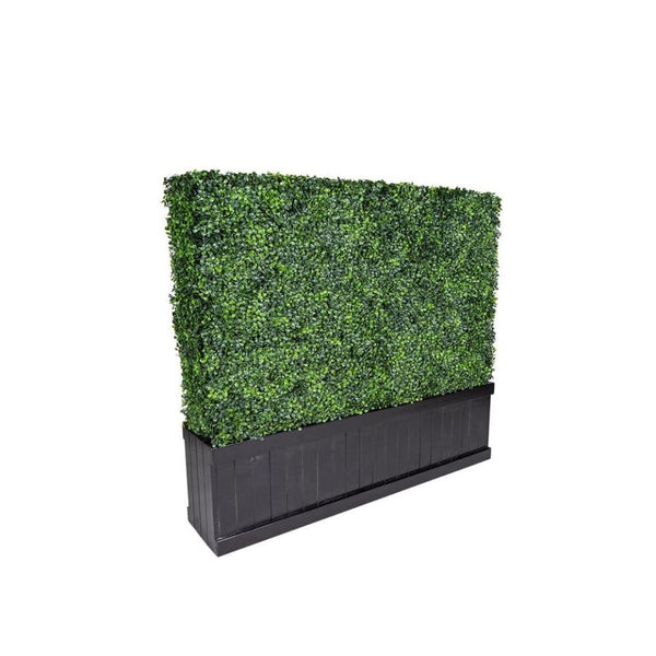 Boxwood Hedge Wall / Double Side  4'x4'